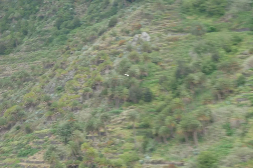 P1010320 960x640